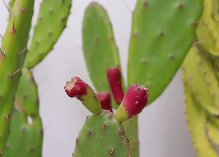 Douro Views Luxury Design *